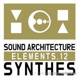 Cari Lekebusch Sae 12 (Synthes)