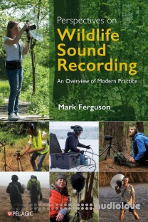Perspectives on Wildlife Sound Recording: An Overview of Modern Practice