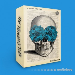 LetsGoHayes Veilchenblau