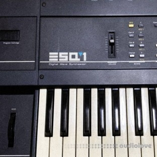 Looma Ensoniq Esq1 Oneshot Sample Pack