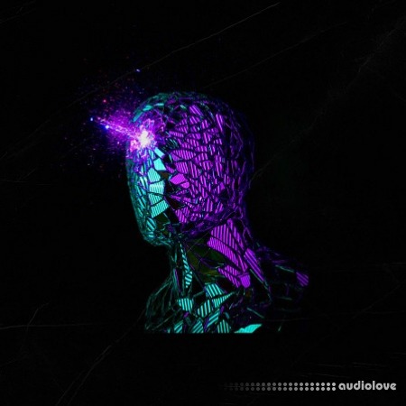 Key Jungle Slow Motion Modern RnB Samples