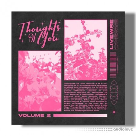 SamplesWave Thoughs Of You Vol.2 (Compositions and Stems)