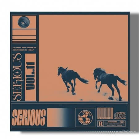 SamplesWave Serious Vol.11