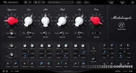 Tone Projects Michelangelo