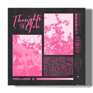 SamplesWave Thoughs Of You Vol.2 (Compositions and Stems)