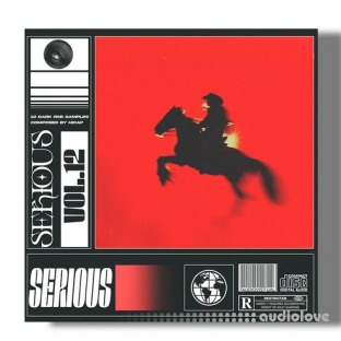 SamplesWave Serious Vol.12