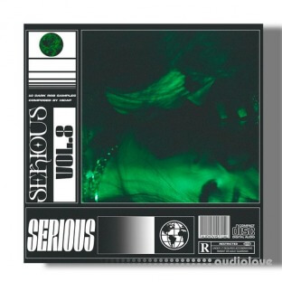 SamplesWave Serious Vol.8