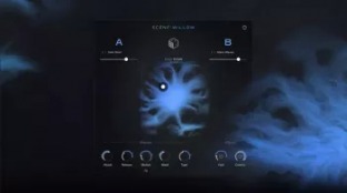 Native Instruments Scene Willow