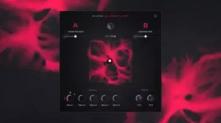 Native Instruments Scene Bloodplant