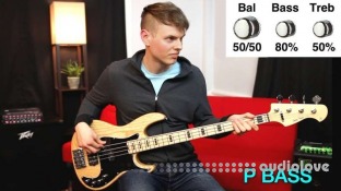 Nate Navarro P BASS VS J BASS Harley Benton Edition