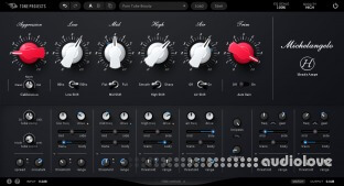 Tone Projects Michelangelo