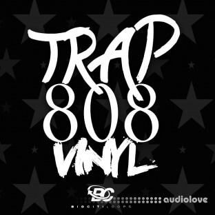 Big Citi Loops Trap 808 Vinyl