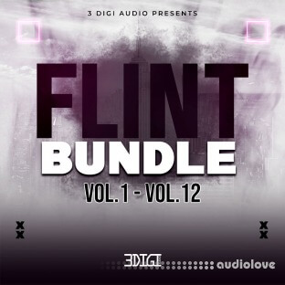 3 Digi Audio Flint Bundle (Vol 1 - Vol 12)
