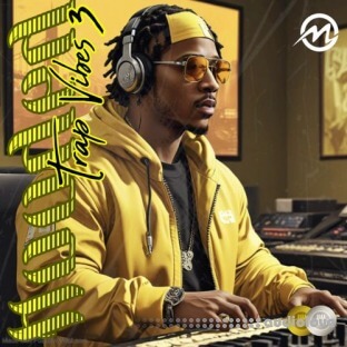 Major Loops Flooded Trap Vibes 3