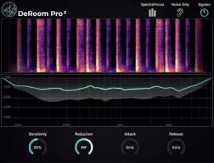 Accentize DeRoom Pro 2