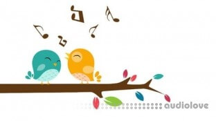 Udemy Audiation And Musicianship Course Part 1