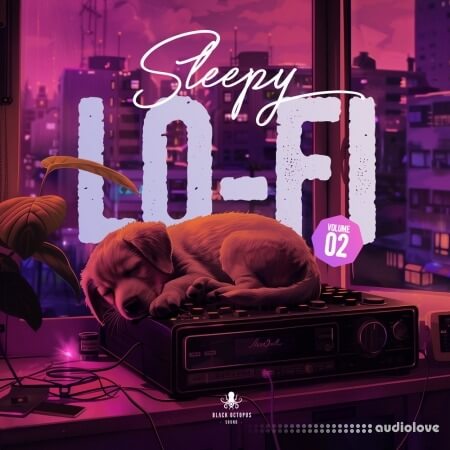 Black Octopus Sound Sleepy Lofi Vol 2