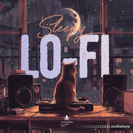 Black Octopus Sound Sleepy Lofi