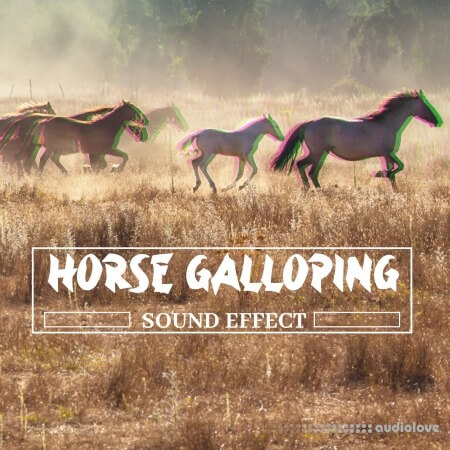 Pro Sound Effects Library Horse Galloping Sound Effect