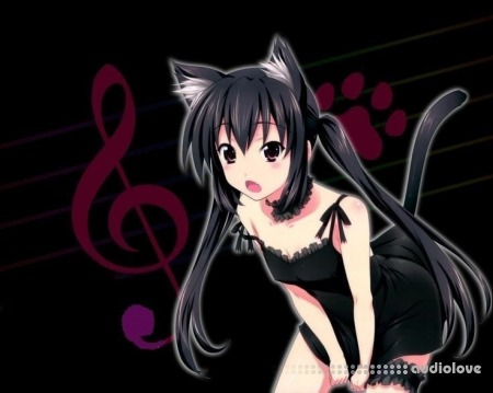 Kazama Birthday Kit V2