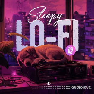 Black Octopus Sound Sleepy Lofi Vol 2