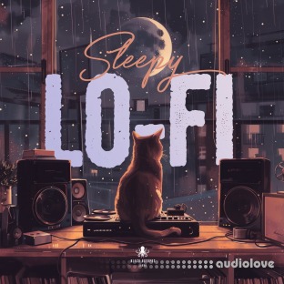 Black Octopus Sound Sleepy Lofi