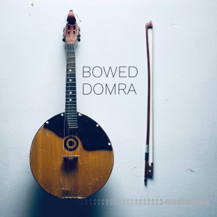 David Hilowitz Bowed Domra