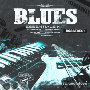 Barragini Blues Essentials (Phrase Kit) by 808Street