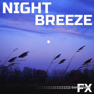 Cloud Nine Records Night Breeze FX