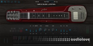 Ample Sound Ample Slide Lapsteel