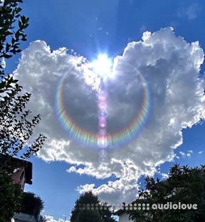 Сxdy 2025 Stash Kit