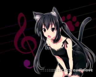 Kazama Birthday Kit V2