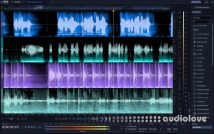 iZotope RX 12 Audio Editor Advanced