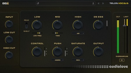 Black Salt Audio Telos Vocals