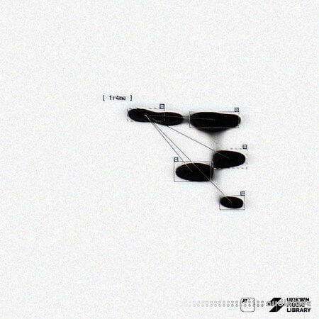 Vagosrose Fr4me Creative Kit (Compositions and Stems)