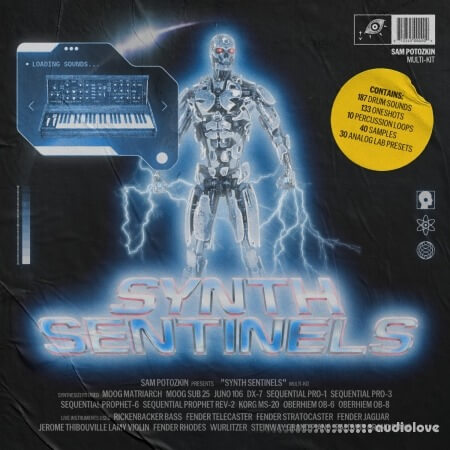 Sam Potozkin Synth Sentinels