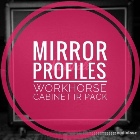 MirrorProfiles WORKHORSE CABINET IR PACK