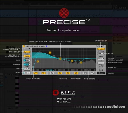 DIFF Devices PRECISE V2