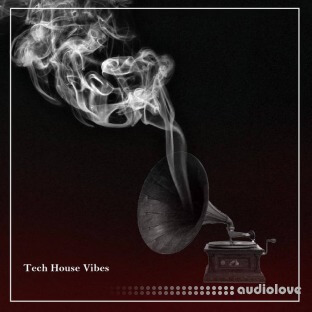 ItaloBros Tech House Vibes Sample Pack