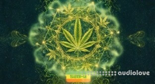 Atix Universe RASTA 528Hz