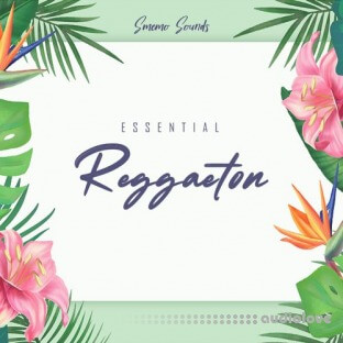 Smemo Sounds Essential Reggaeton (Sound Kit)