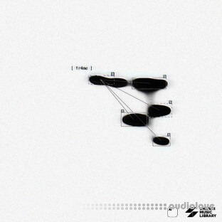 Vagosrose Fr4me Creative Kit (Compositions and Stems)