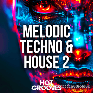 Hot Grooves Melodic Techno and House 2