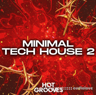 Hot Grooves Minimal Tech House Vol.2