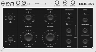 Audioloom Carve Audio Busboy