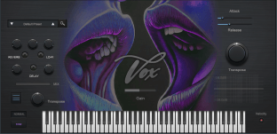 True Soul Vibes RnB Vox