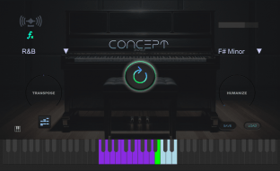 True Soul Vibes Concept