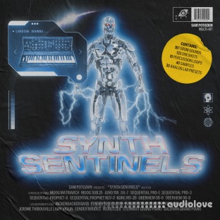 Sam Potozkin Synth Sentinels