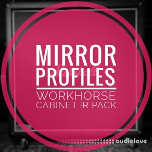MirrorProfiles WORKHORSE CABINET IR PACK