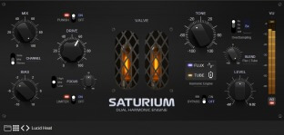 2B Played Music Saturium